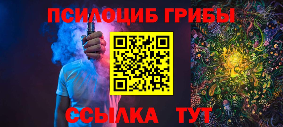 Псилоцибиновые грибы прущие грибы  Вход с VPN  Псилоцибиновые грибы Cubensis  Гай 